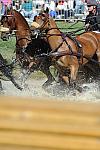 WEG4-10-9-10-DR-Marathon-0424-ChesterWeber-DDeRosaPhoto.jpg
