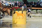WEG4-10-9-10-DR-Marathon-0430-ChesterWeber-DDeRosaPhoto.jpg