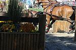 WEG4-10-9-10-DR-Marathon-0433-ChesterWeber-DDeRosaPhoto.jpg