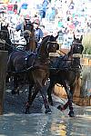 WEG4-10-9-10-DR-Marathon-0450-ChesterWeber-DDeRosaPhoto.jpg