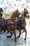 WEG4-10-9-10-DR-Marathon-0453-ChesterWeber-DDeRosaPhoto.jpg