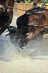 WEG4-10-9-10-DR-Marathon-0455-ChesterWeber-DDeRosaPhoto.jpg