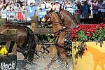 WEG4-10-9-10-DR-Marathon-0467-ChesterWeber-DDeRosaPhoto.jpg