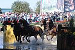 WEG4-10-9-10-DR-Marathon-0475-ChesterWeber-DDeRosaPhoto.jpg