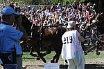 WEG4-10-9-10-DR-Marathon-0488-ChesterWeber-DDeRosaPhoto.jpg