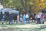WEG4-10-9-10-DR-Marathon-0507-ChesterWeber-DDeRosaPhoto.jpg