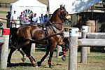 WEG4-10-9-10-DR-Marathon-0624-ChesterWeber-DDeRosaPhoto.jpg