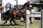 WEG4-10-9-10-DR-Marathon-0625-ChesterWeber-DDeRosaPhoto.jpg