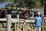 WEG4-10-9-10-DR-Marathon-0626-ChesterWeber-DDeRosaPhoto.jpg