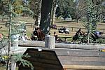 WEG4-10-9-10-DR-Marathon-0631-ChesterWeber-DDeRosaPhoto.jpg