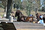 WEG4-10-9-10-DR-Marathon-0638-ChesterWeber-DDeRosaPhoto.jpg