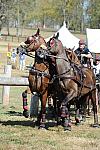 WEG4-10-9-10-DR-Marathon-0646-ChesterWeber-DDeRosaPhoto.jpg