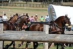 WEG4-10-9-10-DR-Marathon-0661-ChesterWeber-DDeRosaPhoto.jpg