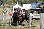WEG4-10-9-10-DR-Marathon-0680-ChesterWeber-DDeRosaPhoto.jpg