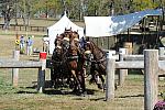 WEG4-10-9-10-DR-Marathon-0681-ChesterWeber-DDeRosaPhoto.jpg