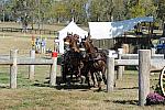 WEG4-10-9-10-DR-Marathon-0682-ChesterWeber-DDeRosaPhoto.jpg
