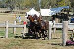 WEG4-10-9-10-DR-Marathon-0683-ChesterWeber-DDeRosaPhoto.jpg