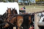 WEG4-10-9-10-DR-Marathon-0697-ChesterWeber-DDeRosaPhoto.jpg
