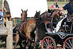 WEG4-10-9-10-DR-Marathon-0699-ChesterWeber-DDeRosaPhoto.jpg