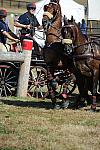 WEG4-10-9-10-DR-Marathon-0705-ChesterWeber-DDeRosaPhoto.jpg