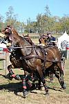WEG4-10-9-10-DR-Marathon-0715-ChesterWeber-DDeRosaPhoto.jpg