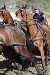 WEG4-10-9-10-DR-Marathon-0716-ChesterWeber-DDeRosaPhoto.jpg
