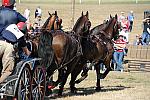 WEG4-10-9-10-DR-Marathon-0733-ChesterWeber-DDeRosaPhoto.jpg