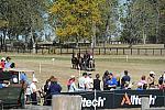 WEG4-10-9-10-DR-Marathon-0743-ChesterWeber-DDeRosaPhoto.jpg