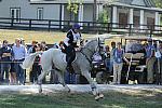 WEG2-10-2-10-EV-XX-5366-CourageousComet-RebeccaHolderosaPhoto.jpg