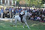 WEG2-10-2-10-EV-XX-5368-CourageousComet-RebeccaHolderosaPhoto.jpg