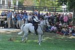 WEG2-10-2-10-EV-XX-5369-CourageousComet-RebeccaHolderosaPhoto.jpg