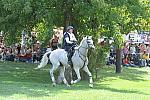 WEG2-10-2-10-EV-XX-5373-CourageousComet-RebeccaHolderosaPhoto.jpg