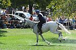 WEG2-10-2-10-EV-XX-5417-CourageousComet-RebeccaHolderosaPhoto.jpg