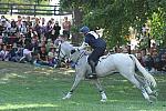 WEG2-10-2-10-EV-XX-5419-CourageousComet-RebeccaHolderosaPhoto.jpg