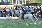 WEG2-10-2-10-EV-XX-5422-CourageousComet-RebeccaHolderosaPhoto.jpg