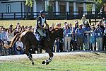 WEG2-10-2-10-EV-XX-3106-NevilleBardos-BoydMartin-DDeRosaPhoto.jpg