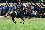 WEG2-10-2-10-EV-XX-3108-NevilleBardos-BoydMartin-DDeRosaPhoto.jpg