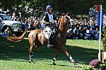 WEG2-10-2-10-EV-XX-3112-NevilleBardos-BoydMartin-DDeRosaPhoto.jpg