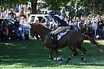 WEG2-10-2-10-EV-XX-3145-NevilleBardos-BoydMartin-DDeRosaPhoto.jpg
