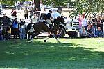 WEG2-10-2-10-EV-XX-4043-BAllyNoeCastleRM-BuckDavidson-DDeRosaPhotoBa.jpg