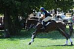 WEG2-10-2-10-EV-XX-4090-BAllyNoeCastleRM-BuckDavidson-DDeRosaPhotoBa.jpg