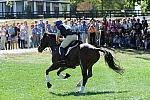 WEG2-10-2-10-EV-XX-4095-BAllyNoeCastleRM-BuckDavidson-DDeRosaPhotoBa.jpg
