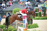 WEG2-10-3-10-EV-SJ-6661-BallyNoeCastleRM-BuckDavidson-DDeRosaPhoto.jpg