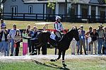 WEG2-10-2-10-EV-XX-4147-Gin-Juice-HawleyBennettAwad-DDeRosaPhoto.jpg