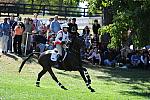 WEG2-10-2-10-EV-XX-4149-Gin-Juice-HawleyBennettAwad-DDeRosaPhoto.jpg