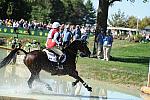 WEG2-10-2-10-EV-XX-4164-Gin-Juice-HawleyBennettAwad-DDeRosaPhoto.jpg