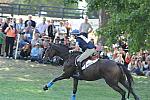 WEG2-10-2-10-EV-XX-5168-KarenOConnor-Mandiba-DDeRosaPhoto.jpg