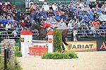 WEG2-10-3-10-EV-SJ-7211-KarenOConnor-Mandiba-DDeRosaPhoto.jpg