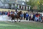 WEG2-10-2-10-EV-XX-5864-Woodburn-PhillipDutton-DDeRosaPhoto.jpg