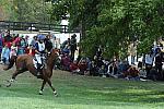 WEG2-10-2-10-EV-XX-5867-Woodburn-PhillipDutton-DDeRosaPhoto.jpg